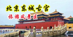 日本女人大屄图中国北京-东城古宫旅游风景区